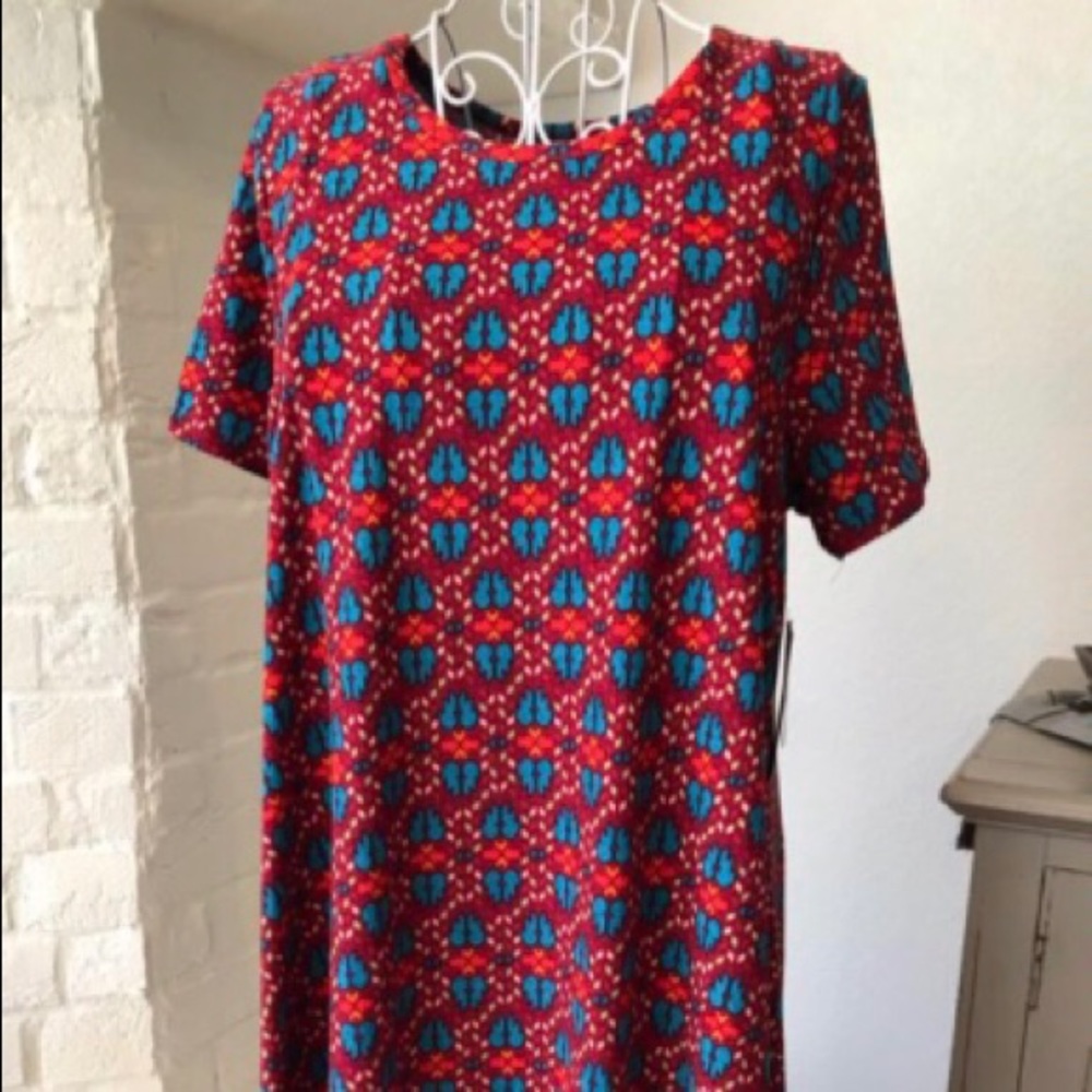 Lularoe S Carly dress NWT